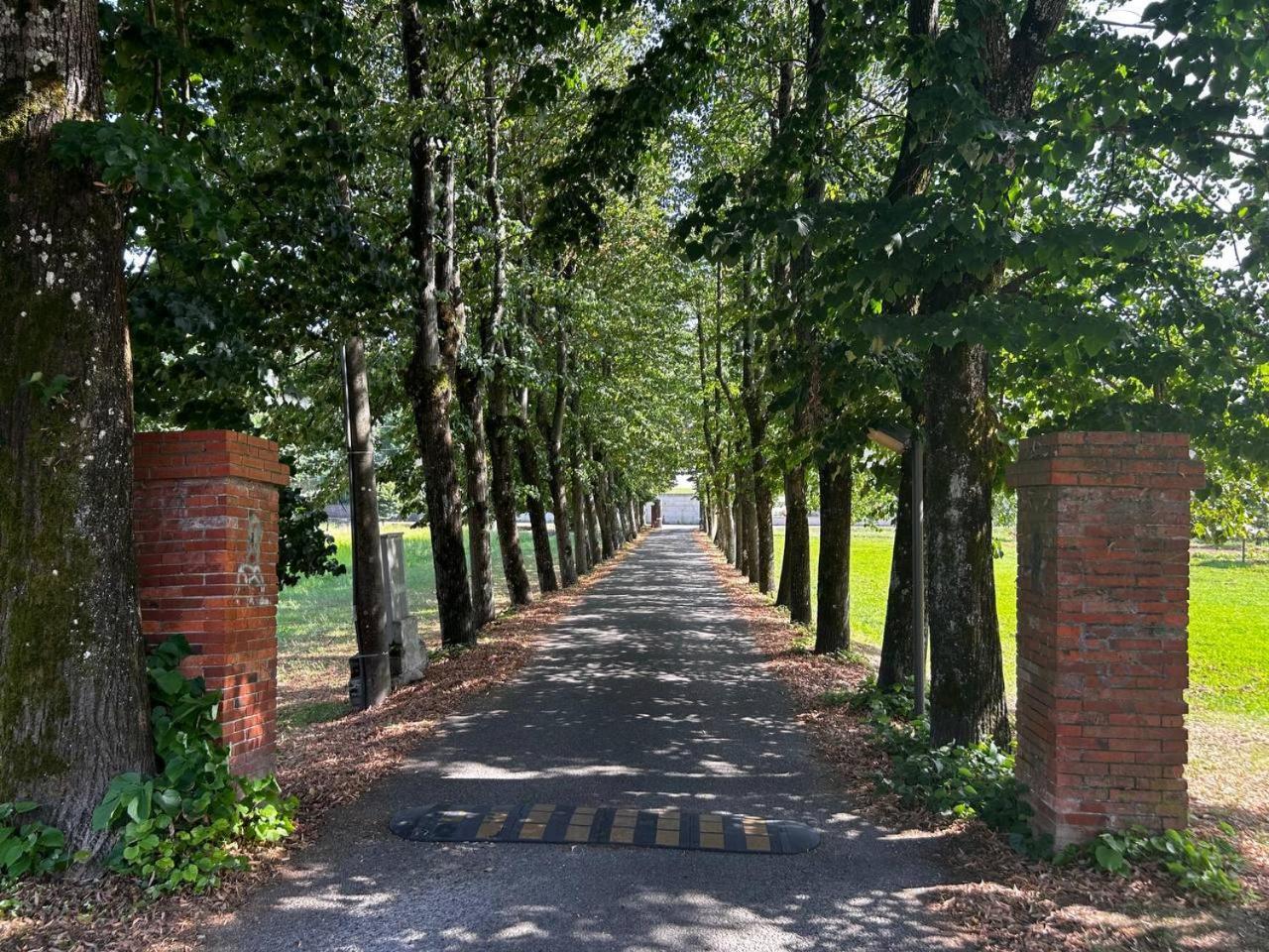 Casa Tea Daire Lucca Dış mekan fotoğraf